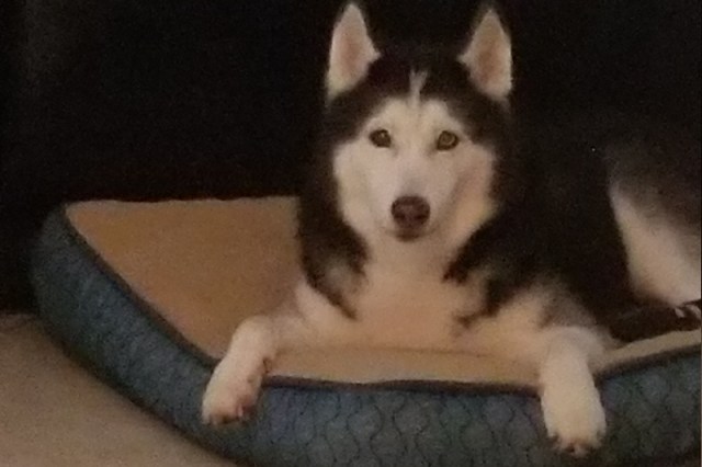 21225694_14976133790_updates